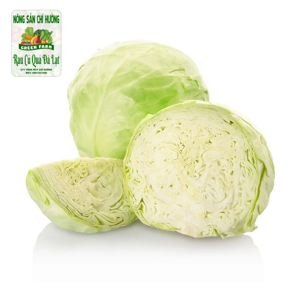 Bắp Cải Trắng - White Cabbage - NONG SAN CHI HUONG