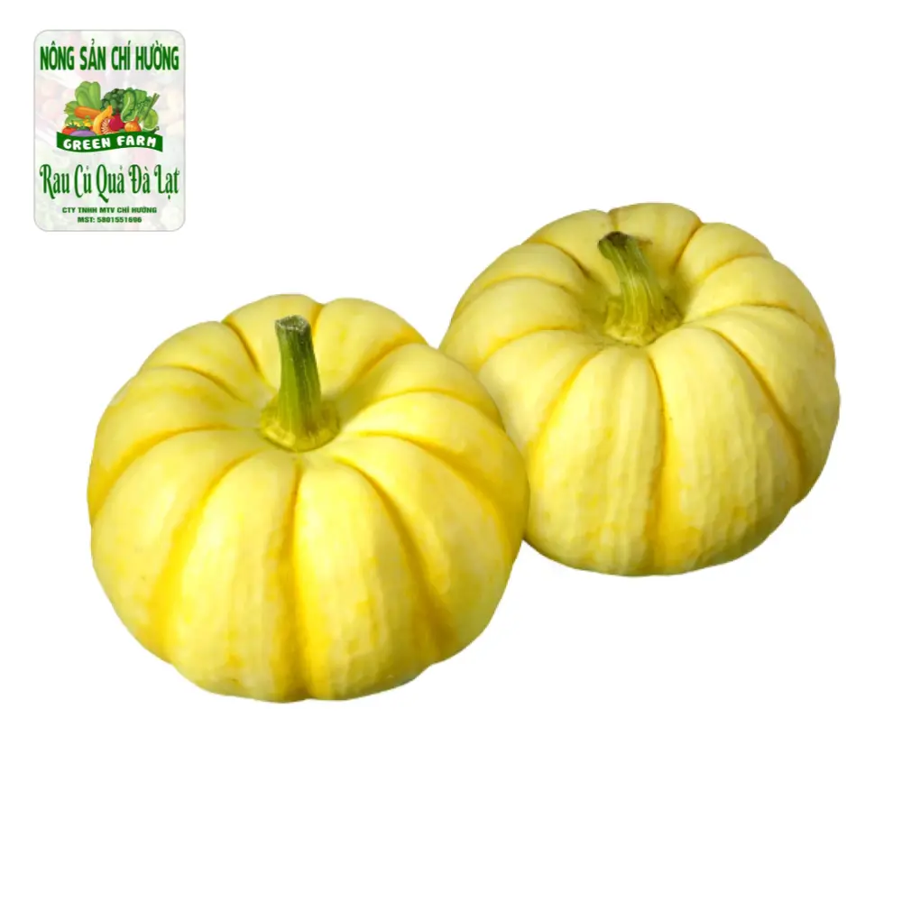 Bí Ngô Mini Vàng - Mini Yellow Pumpkin - NONG SAN CHI HUONG