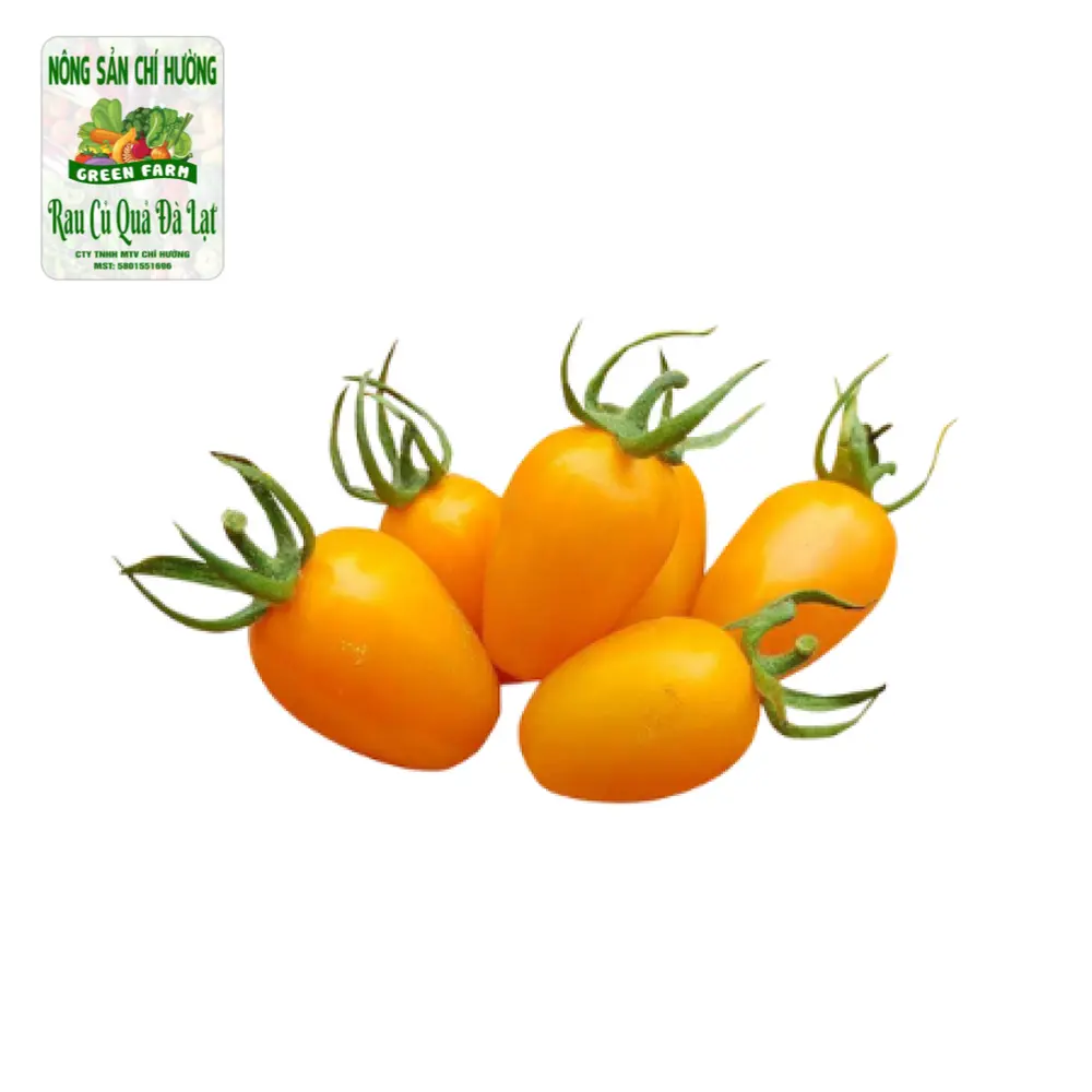 Cà Chua Cam Sữa - Orange Cherry Tomato - NONG SAN CHI HUONG