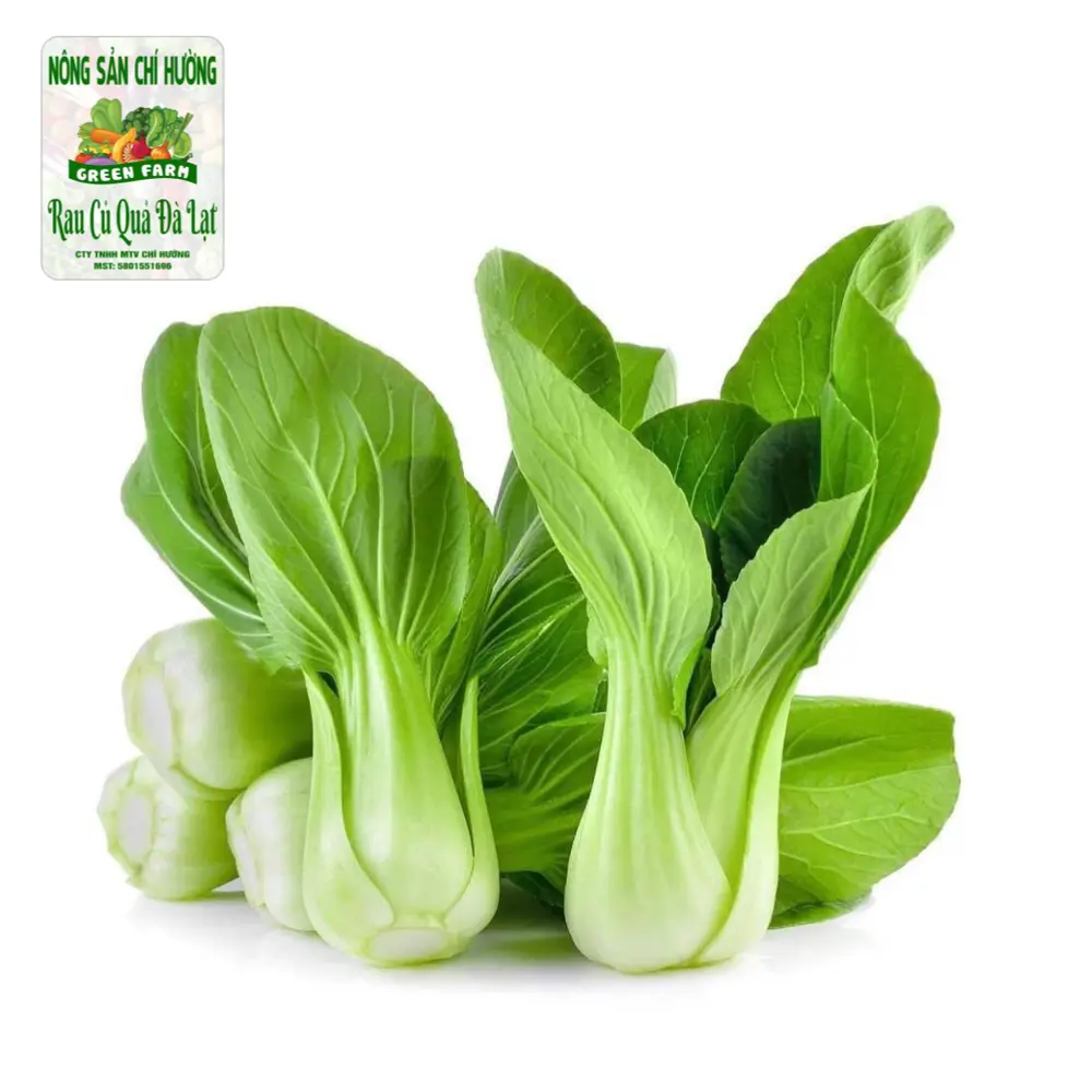 Cải Thìa - Bok Choy - NONG SAN CHI HUONG
