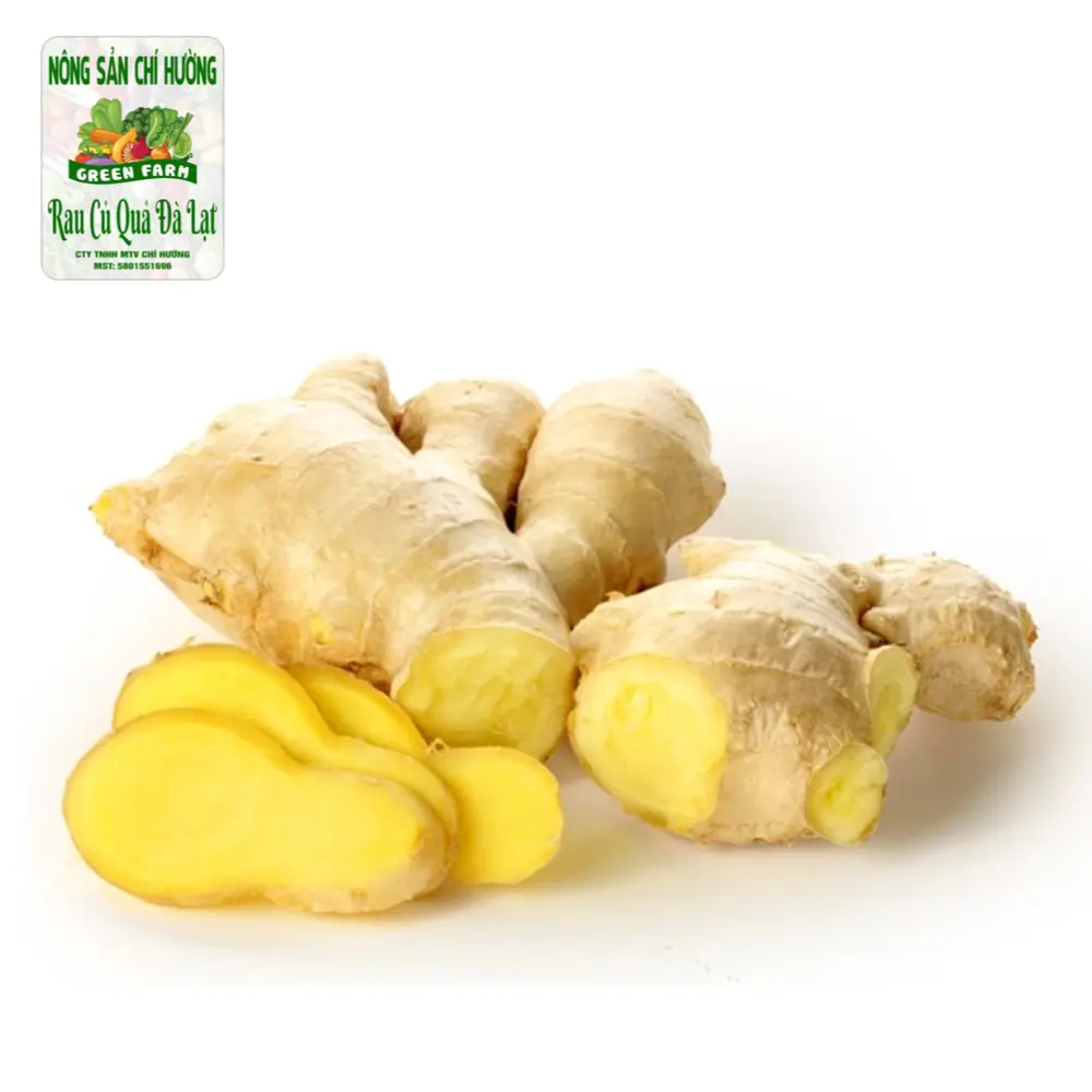 Củ Gừng - Ginger - NONG SAN CHI HUONG