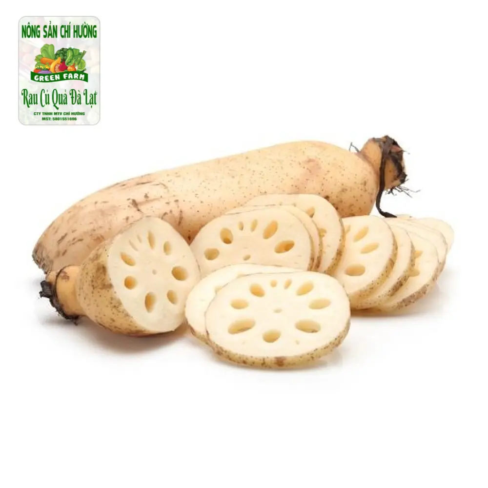 Củ Sen - Lotus Root - NONG SAN CHI HUONG
