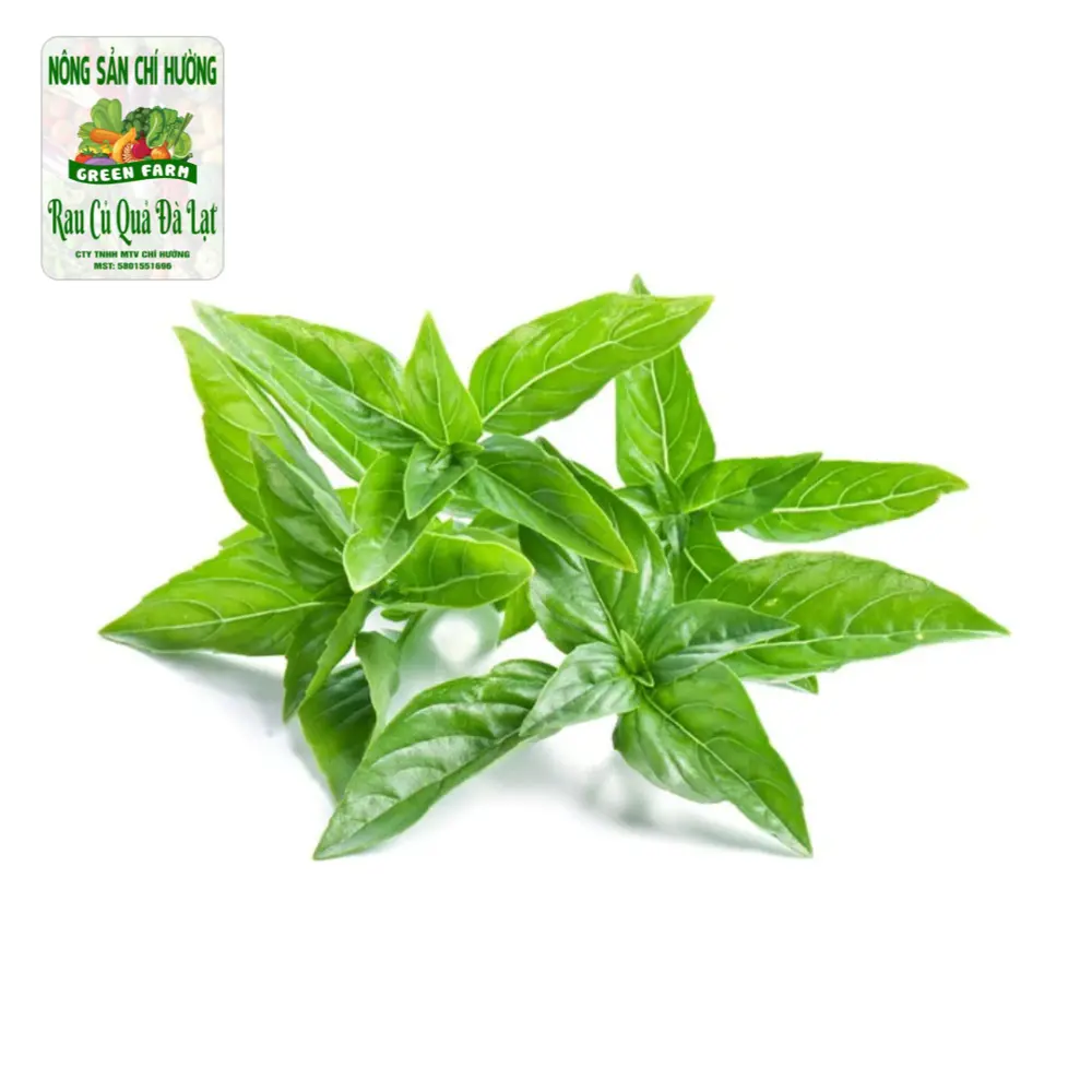 Lá É - Lemon Basil - NONG SAN CHI HUONG