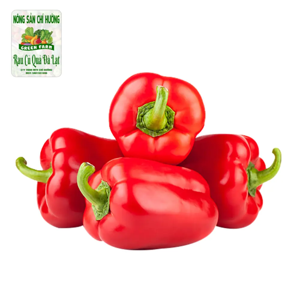Ớt Chuông Đỏ - Red Pepper / Capsicum - NONG SAN CHI HUONG