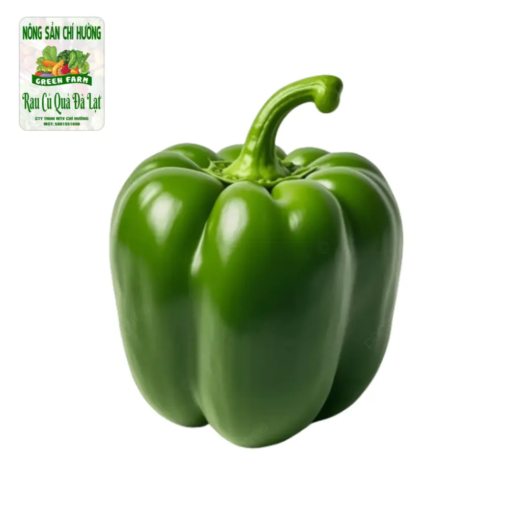 Ớt Chuông Xanh - Green Pepper / Capsicum - NONG SAN CHI HUONG