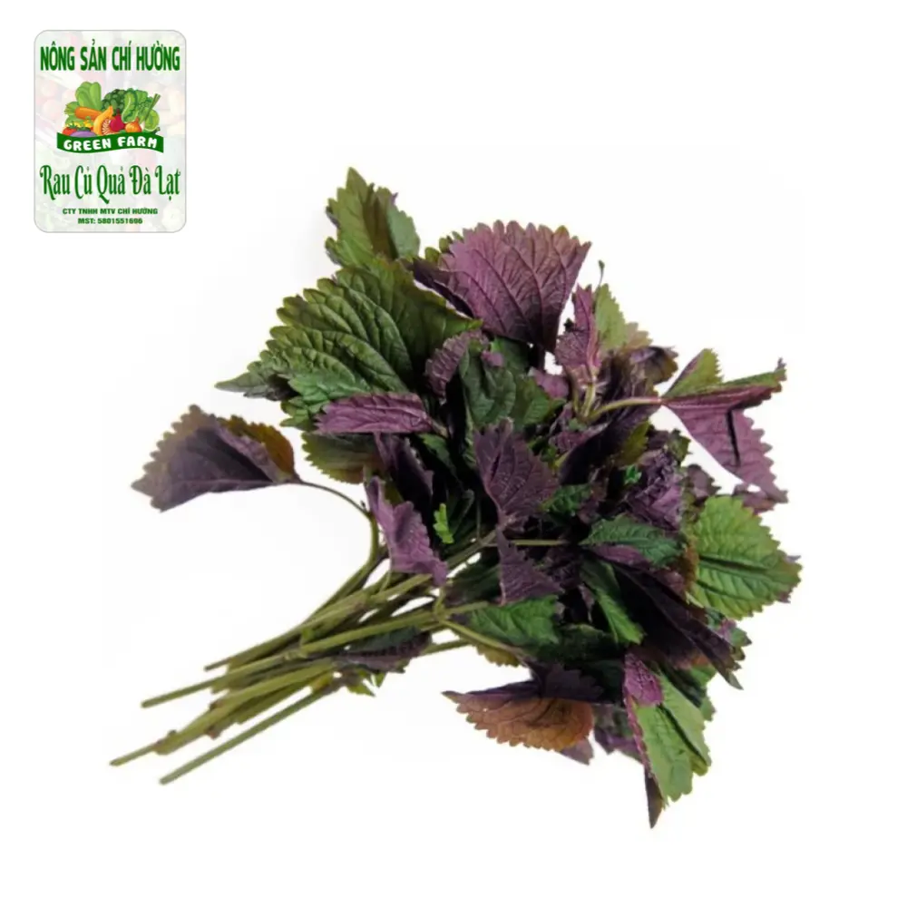 Tía Tô - Shiso leaf - NONG SAN CHI HUONG