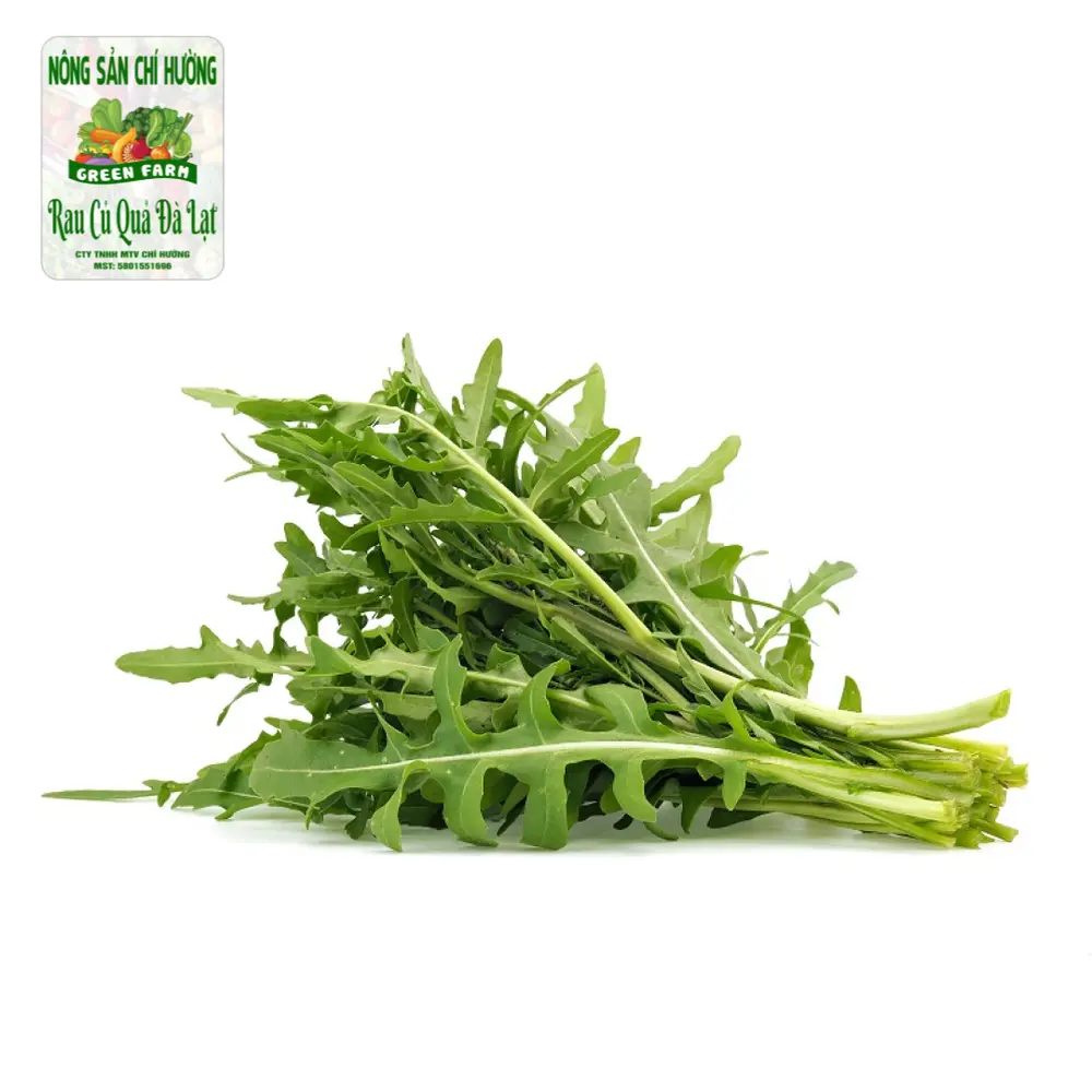 Xà Lách Rocket - Arugula / Rucola - NONG SAN CHI HUONG