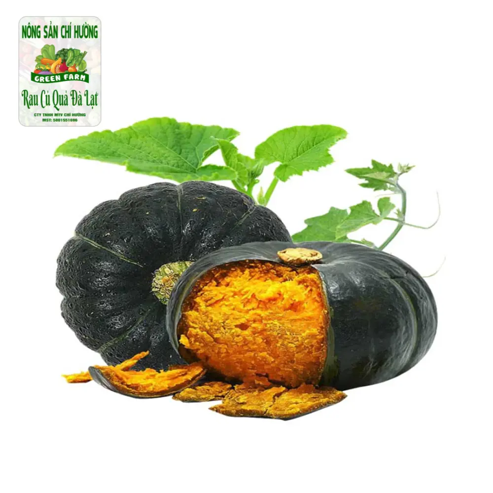 Bí Hạt Dẻ - Chestnut Pumpkin - NONG SAN CHI HUONG