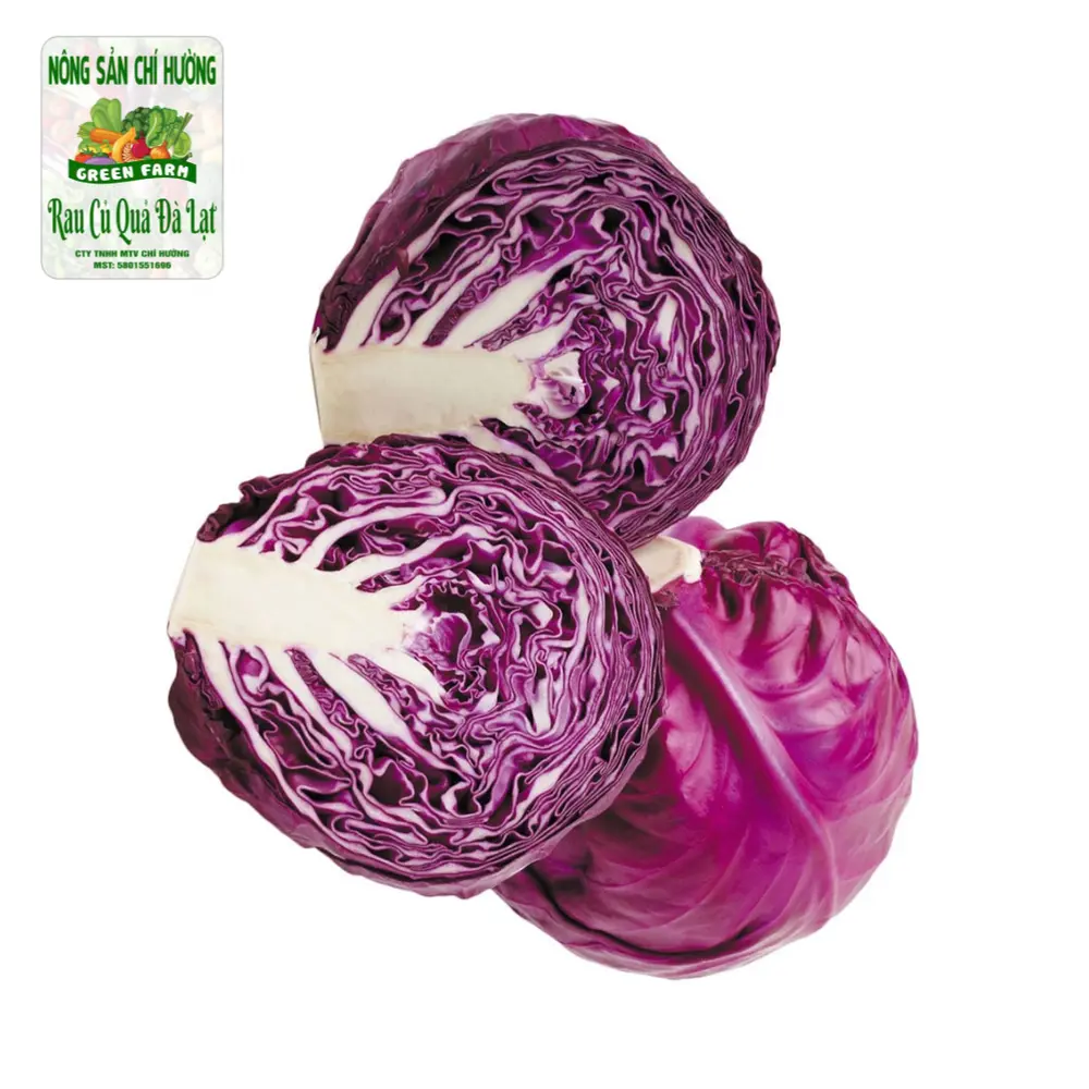Bắp Cải Tím - Purple Cabbage - NONG SAN CHI HUONG