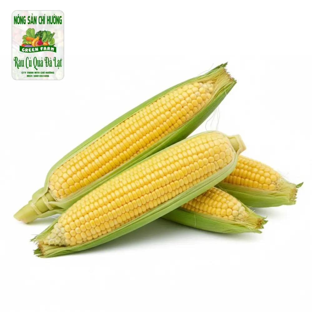Bắp Mỹ - Yellow Sweet Corn (500g) - NONG SAN CHI HUONG