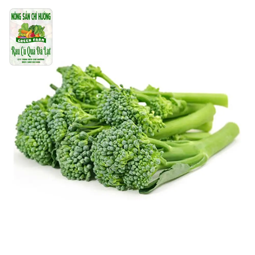 Bông Cải Xanh / Súp Lơ Baby - Baby Broccoli - NONG SAN CHI HUONG