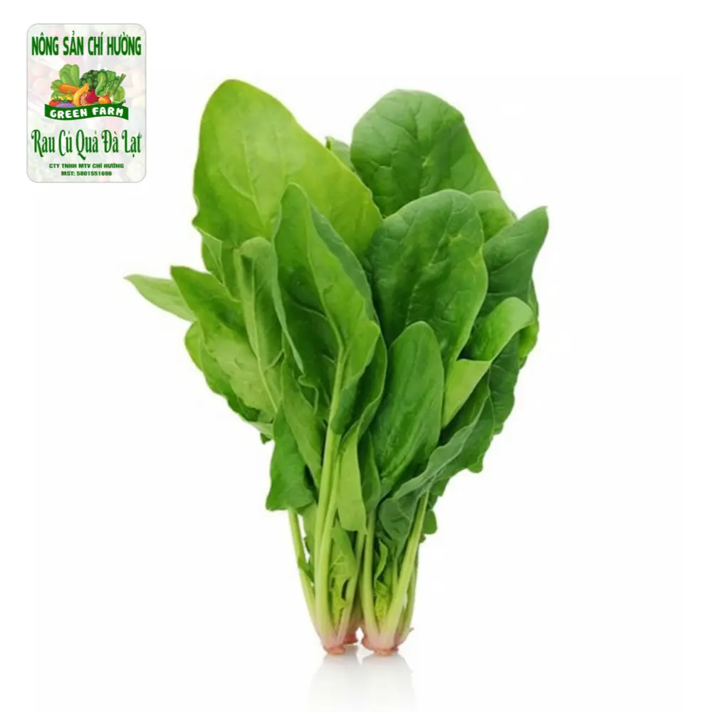 Cải Bó Xôi - Vietnamese Spinach - NONG SAN CHI HUONG