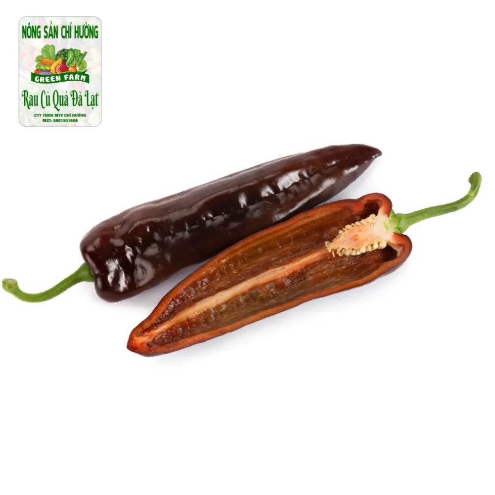 Ớt Ngọt Màu Socola - Chocolony Sweet Palermo Pepper - NONG SAN CHI HUONG