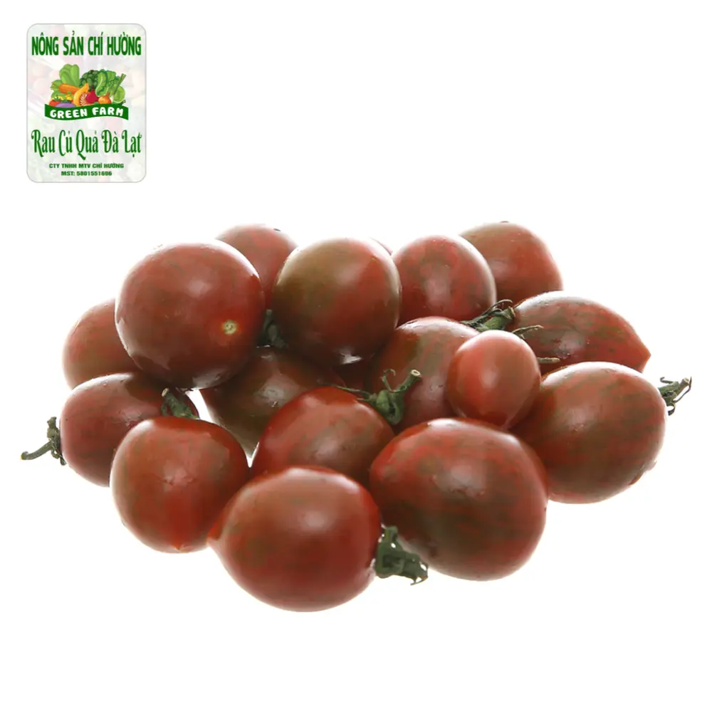 Cà Chua Socola - Chocolate Tomato - NONG SAN CHI HUONG