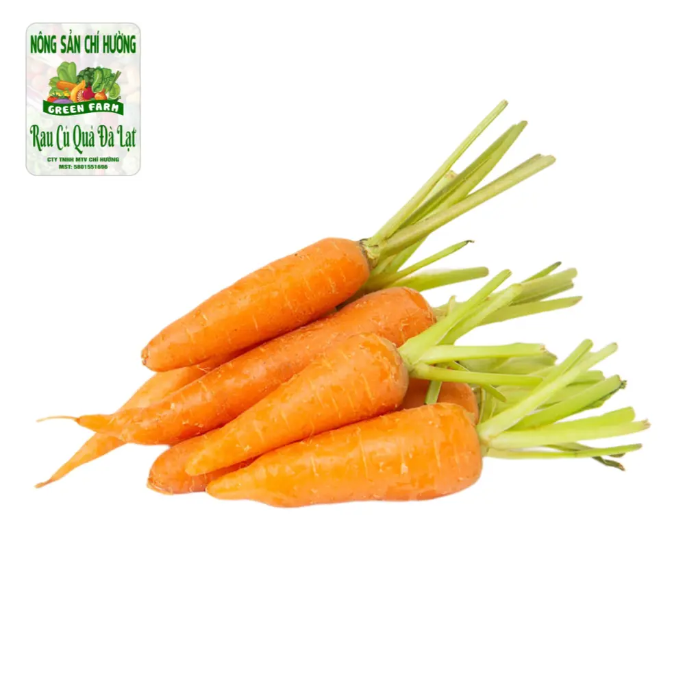 Cà Rốt Baby - Baby Carrot - NONG SAN CHI HUONG