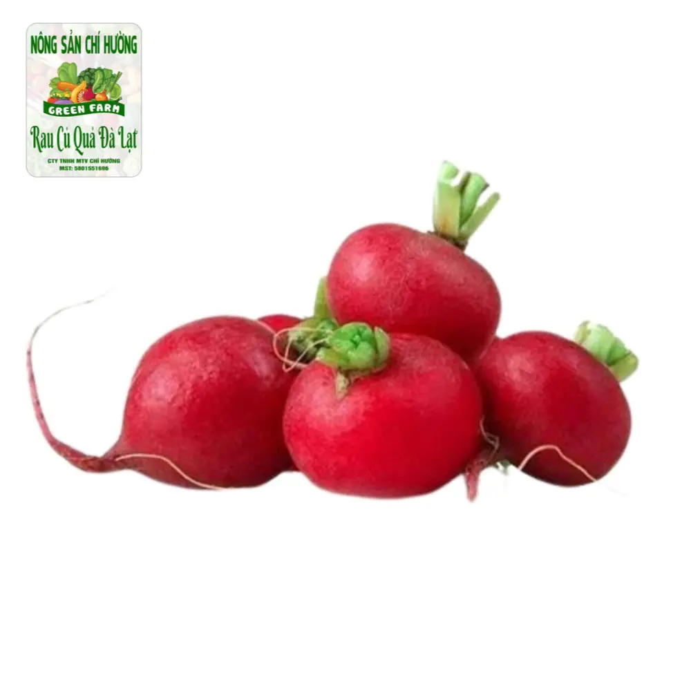 Củ Cải Đỏ - Red Radish - NONG SAN CHI HUONG