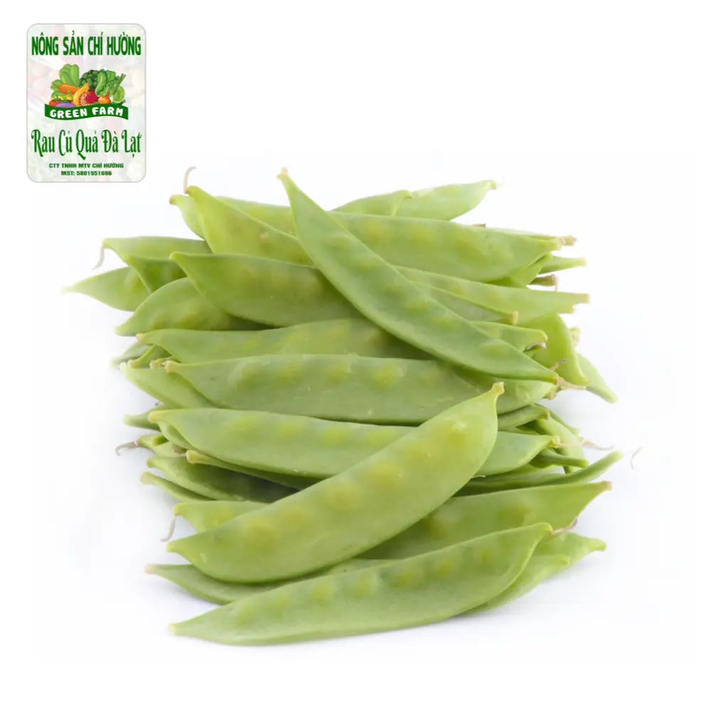 Đậu Hà Lan - Snow Pea - NONG SAN CHI HUONG