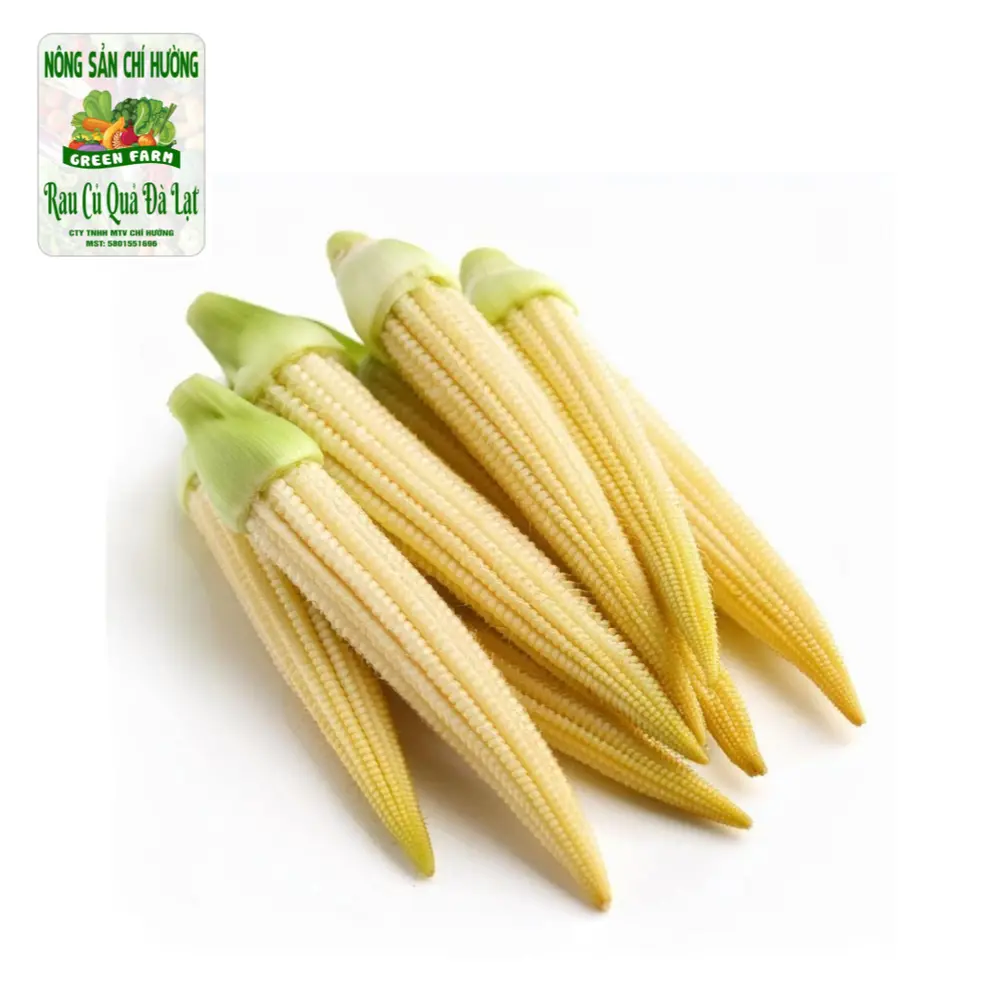 Bắp Non Bao Tử - Peeled Baby Corn - NONG SAN CHI HUONG