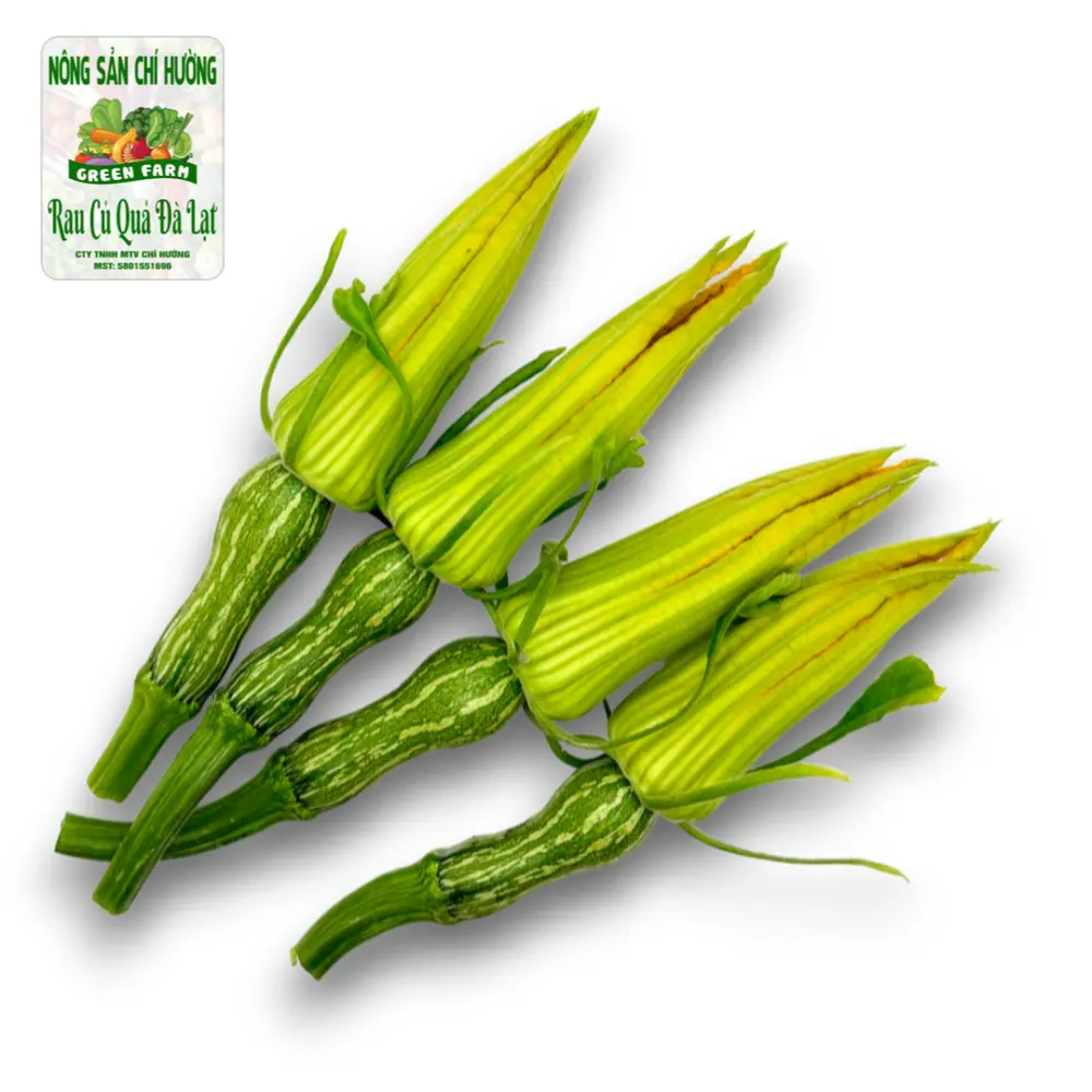 Bí Nụ - Pumpkin Flower Bud - NONG SAN CHI HUONG