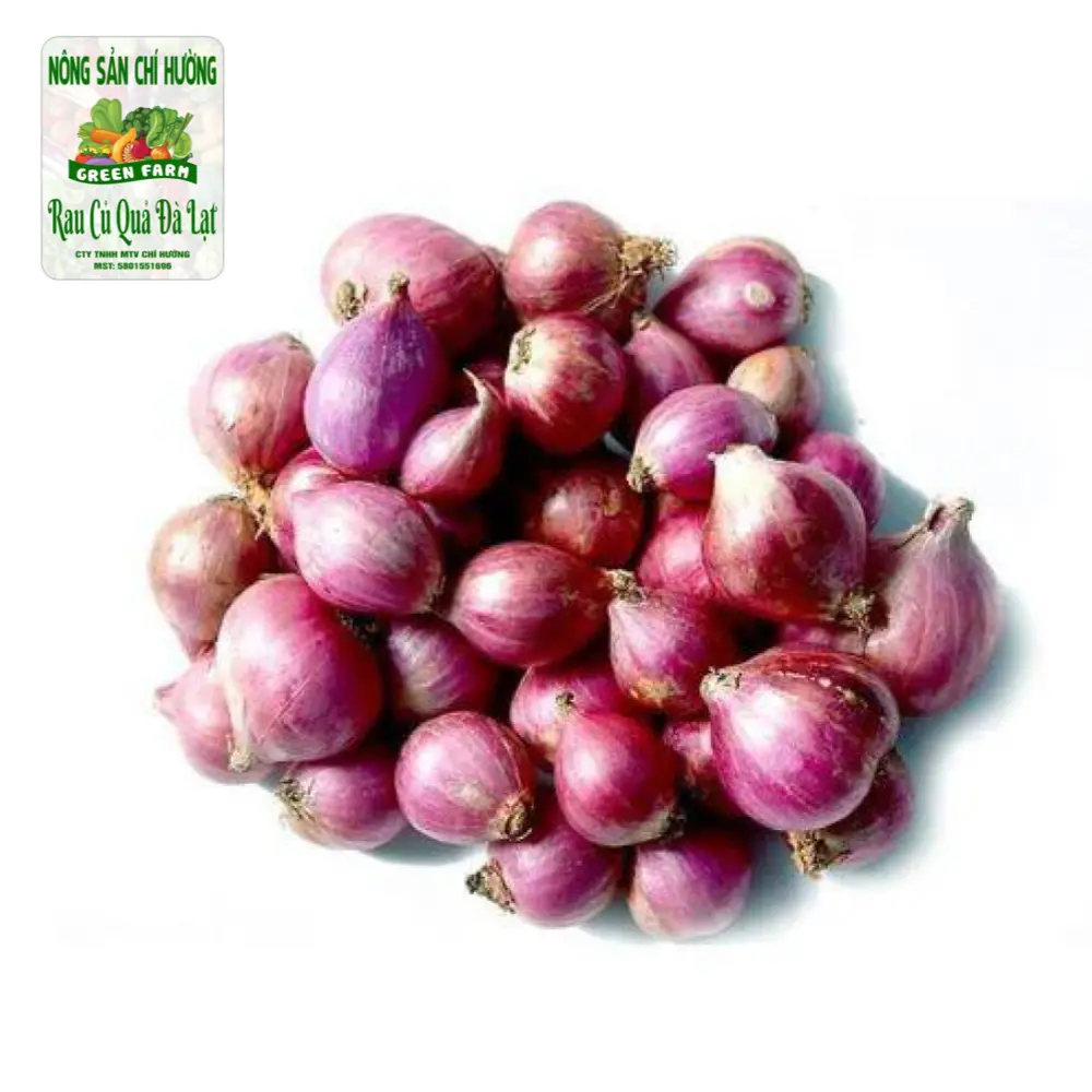 Hành Tím Phan Rang - Shallot - NONG SAN CHI HUONG