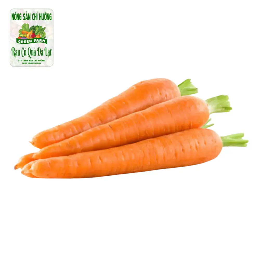 Cà Rốt Cọng Xanh - Green Stem Carrot - NONG SAN CHI HUONG