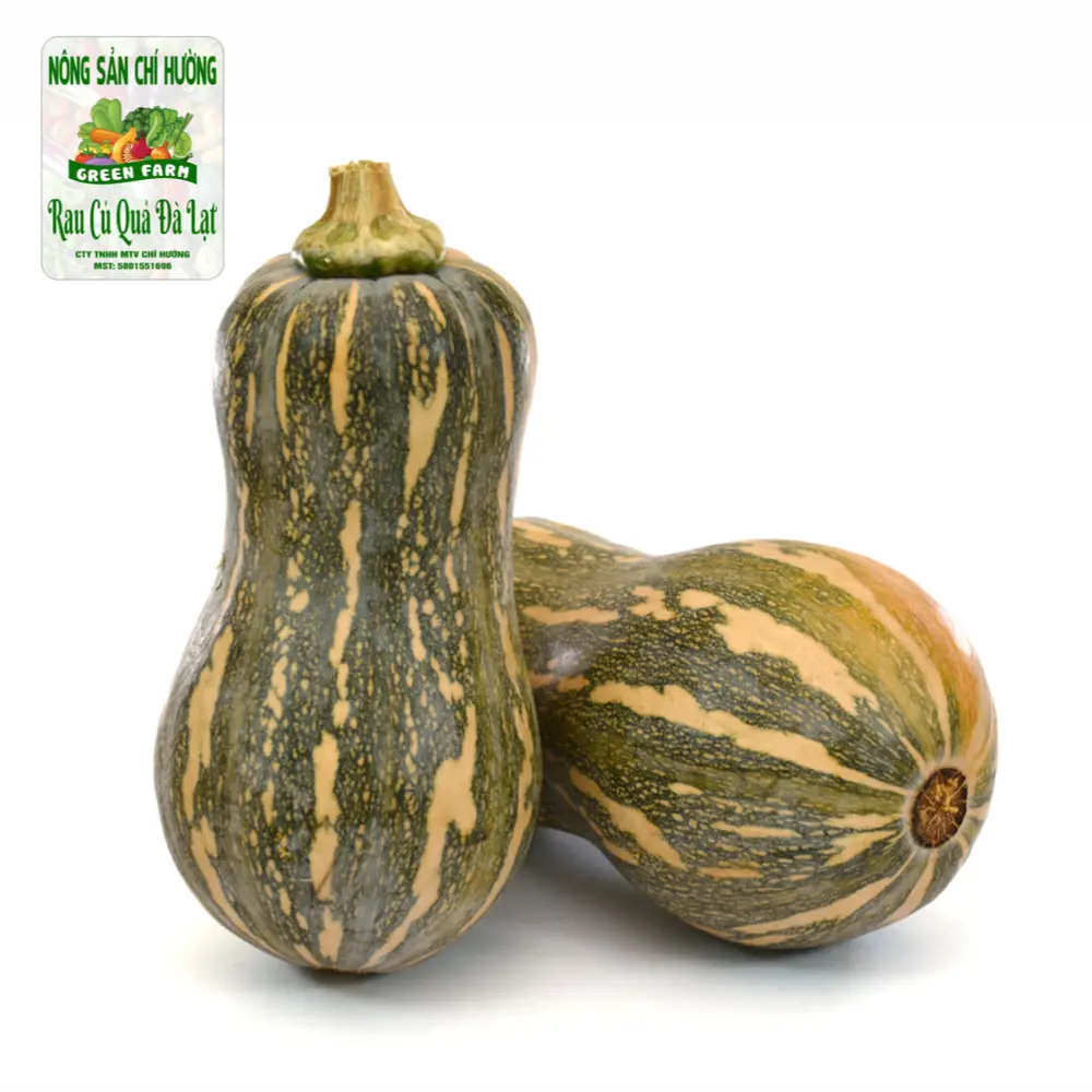 Bí Hồ Lô - Goianinha Pumpkin - NONG SAN CHI HUONG