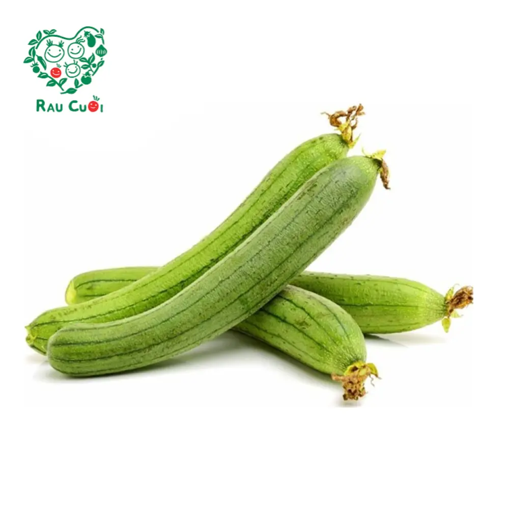 Mướp Hương - Loofah - RAU CUOI VIET NHAT