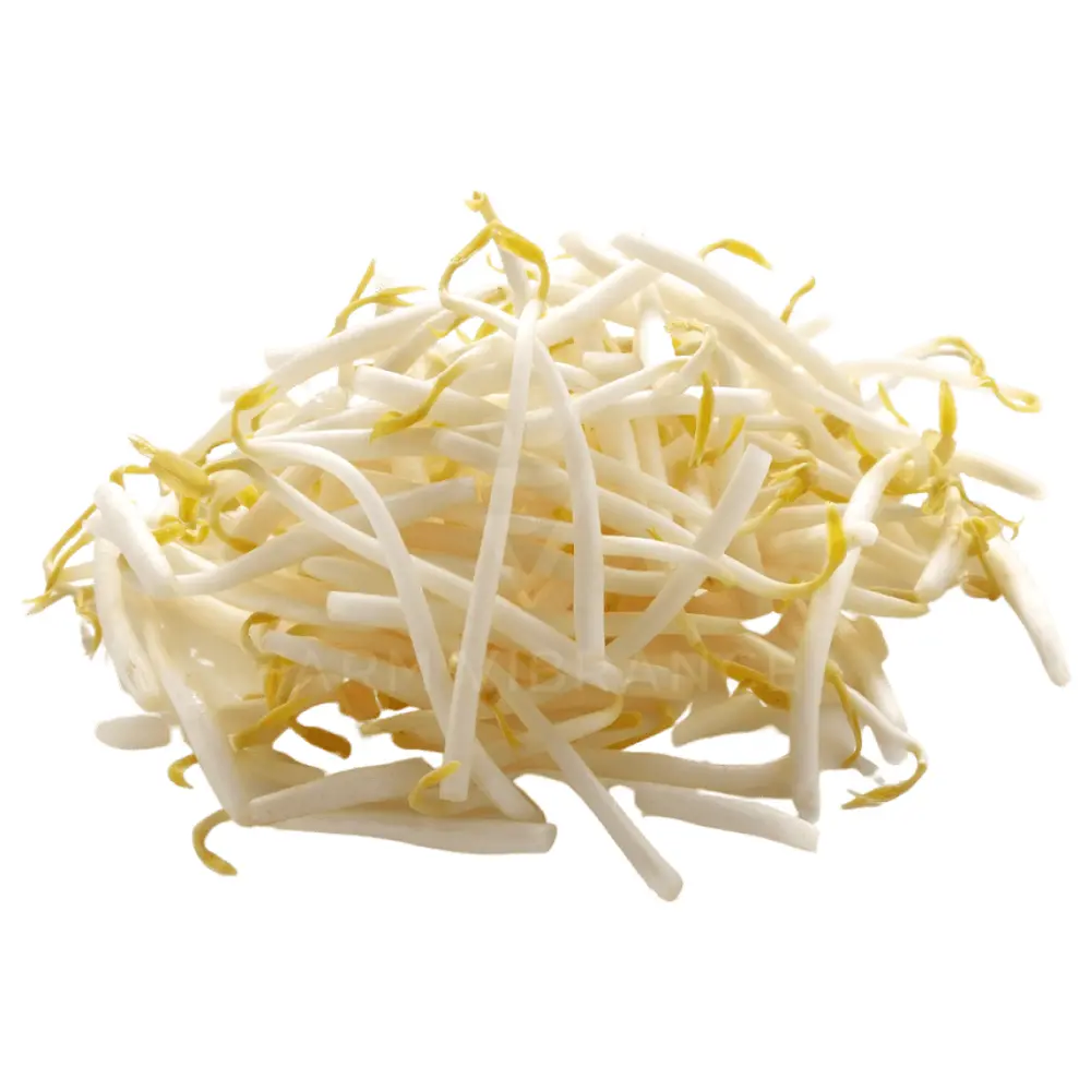 Giá Đậu Xanh - Beansprouts - NONBRAND