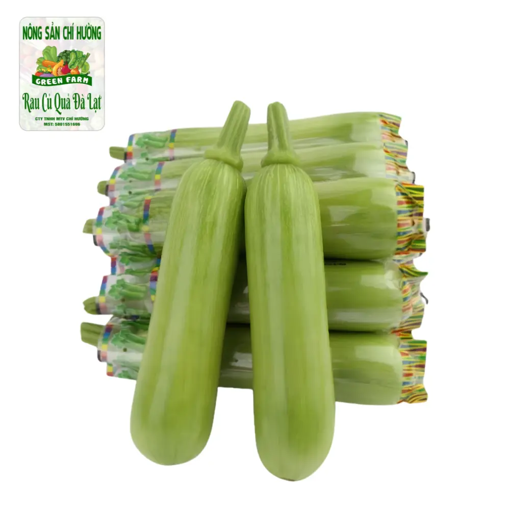 Bí Vua Hàn Quốc - Korean King Zucchini / Green Pumpkin - NONG SAN CHI HUONG
