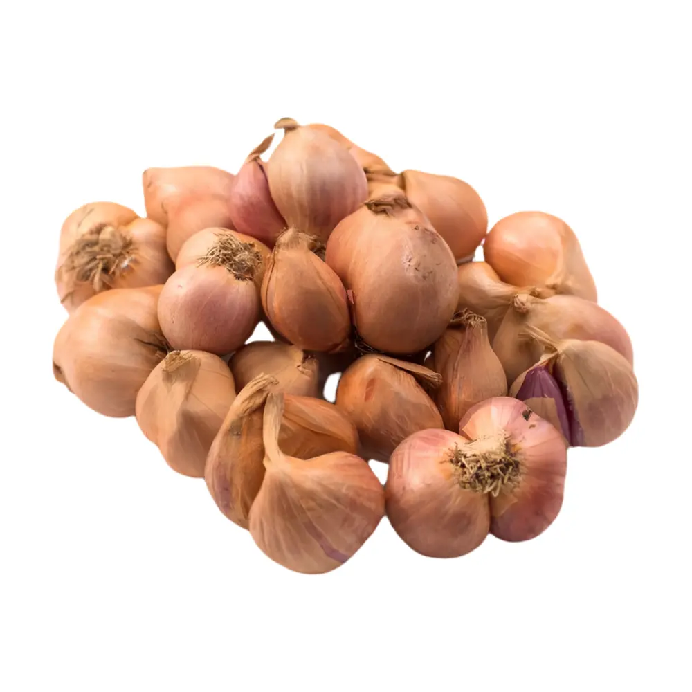 Hành Tím Hải Dương - Vietnamese Shallot - NONBRAND