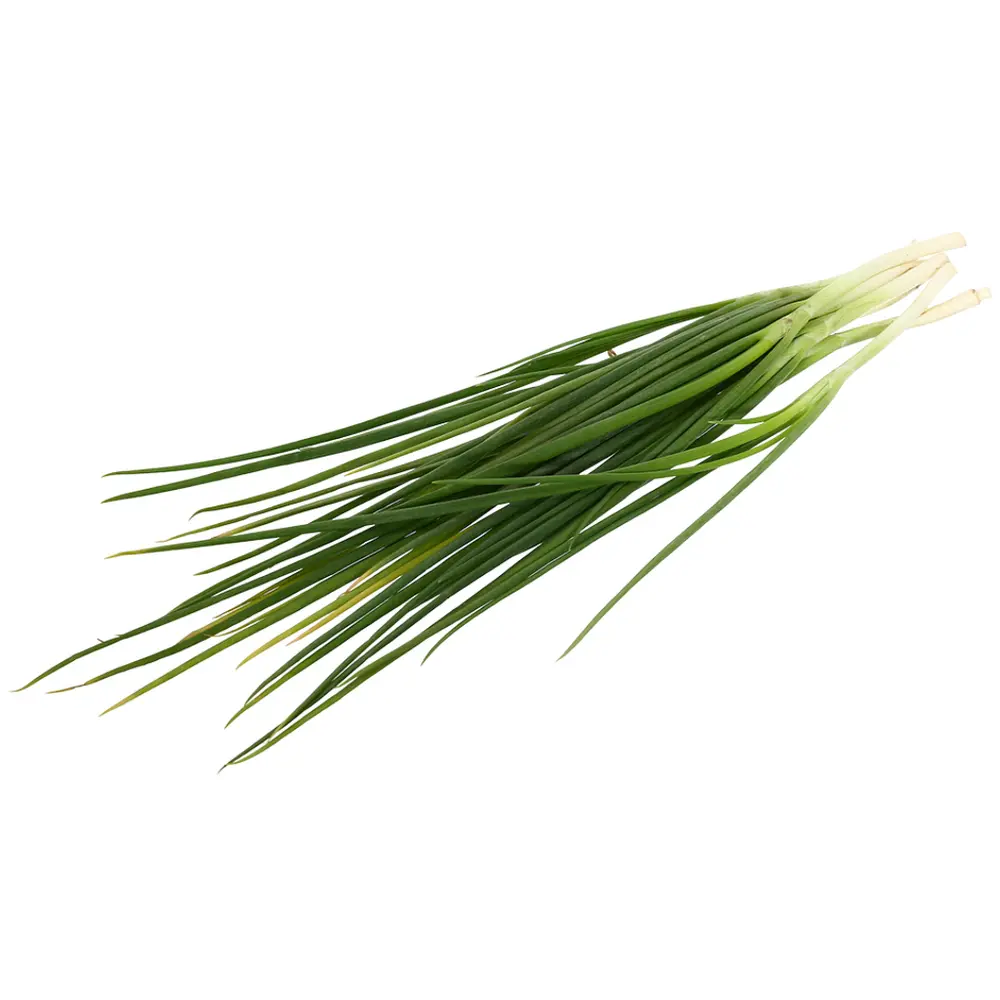 Hành Lá Cắt Gốc - Spring Onion - NONBRAND