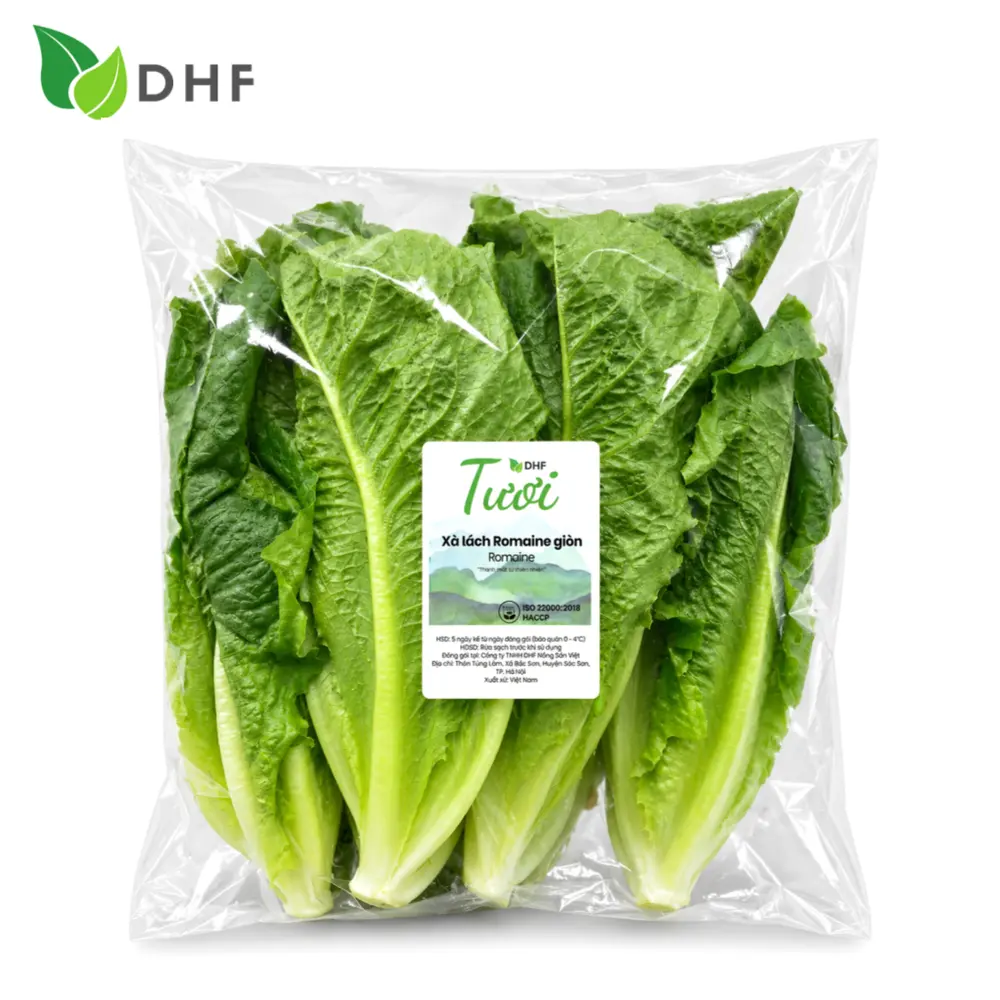 Xà Lách La Mã Giòn - Crispy Romaine Lettuce - DHF