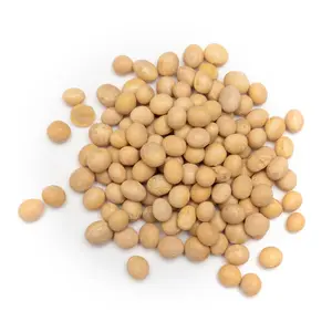 Đậu Nành, Soy Beans (200g) - DONG THUAN