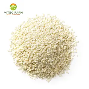 Mè Trắng Rang, Roasted White Sesame Seed (100g) - VITEC FARM