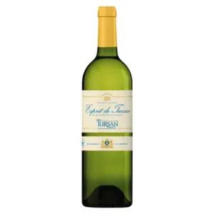 Rượu Vang Trắng, Esprit de Tursan, White, 12.5% (750ml) - TURSAN