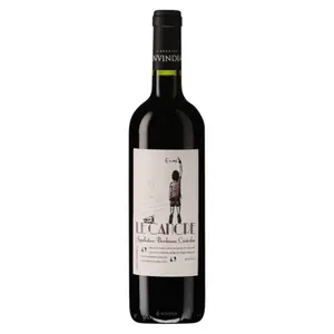 Rượu Vang Đỏ, Le Cancre, Vin de Bordeaux 2020, 13.5% (750ml) - CHATEAU HAUT-MEYREAU