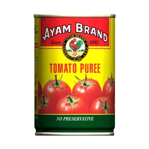 Puree Cà Chua, Tomato Puree, No Preservative (430g) - AYAM BRAND