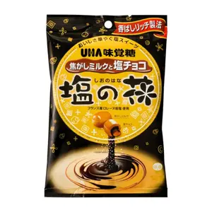 Kẹo Caramen Nhân Socola, Chocolate Filled Salted Caramel Candy (78.2g) - MIKAKUTO TOKUNO