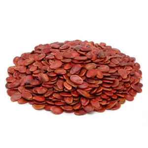 Hạt Dưa Rang Bơ, Butter Roasted Melon Seeds in Shell (200g) - CAT KHANH