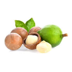 Hạt Macca Sấy Còn Vỏ, Roasted Macadamia Nuts in Shell (230g) - NAM XANH