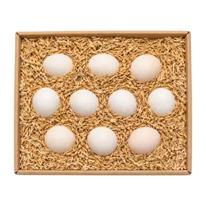 Trứng Gà Ta Nhiều Lòng Đỏ, Chicken Eggs, 10 Trứng (360g) - NONBRAND