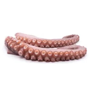 Râu Bạch Tuộc Úc Đông Lạnh, Wild Ocean Caught Octopus Tentacles (300g) - SOUTH WEST OCTOPUS