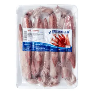 Mực Trứng, Squid with Egg, Size 12cm Up (500g) - HAINAMFOODS