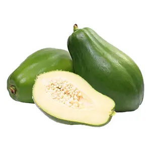 Đu Đủ Xanh - Green Papaya - KATA FARM HUB