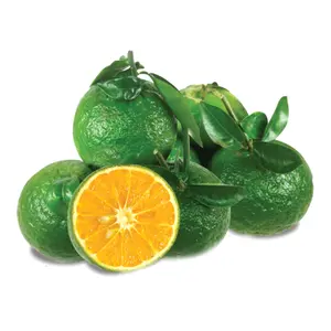Cam Sành Đặc Biệt - Vietnamese Green Orange - OCOP