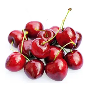 Cherry Đỏ Mỹ - US Red Cherries - Size 9 - BLUE ANCHOR