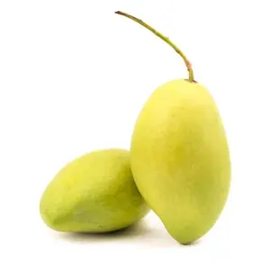 Xoài Cát Chính Gốc Hòa Lộc Canh Tác Hữu Cơ - Organically Grown Hoa Loc Mango - HTX TINH THOI