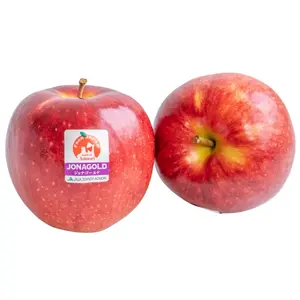 Táo Đỏ Nhật - Jonagold - Japanese Red Apple - ZEN-NOH AOMORI