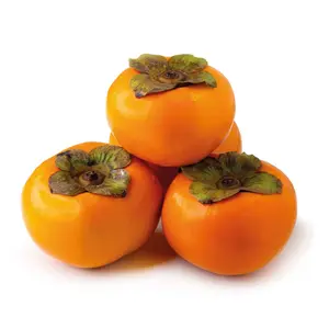 Hồng Giòn New Zealand - Premium New Zealand Persimmons - Size 15 - HOLYOAK