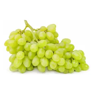 Nho Xanh Không Hạt Úc - Sweet Globe - Australian Green Seedless Grapes - VITOR